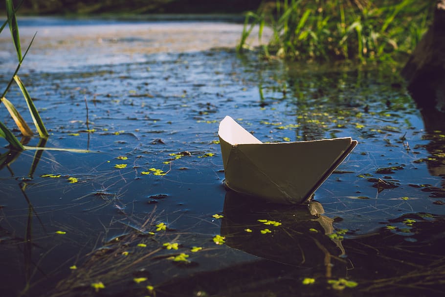 Foto, Weiß, Papierschiffchen, Karosserie, Wasser, Boot, Tageslicht, schweben, See, Freizeit, Licht, Natur, Origami, draußen, Papier-, Reflexion, Fluss, Wasserfahrzeug, Blatt, schwimmend, auf dem Wasser schwimmen, Pflanzenteil, Tag, Transport, Transportmittel, keine Leute, Herbst, Pflanze, Ruhe, Blätter, 4K