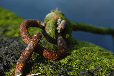 catena, vecchio, marino, muschio, daniel, arrugginito, foto, acqua, ambientale, macro, dettaglio, nessuno, giorno, all'aperto, concentrarsi sulle conoscenze acquisite, natura, metallo, avvicinamento, messa a fuoco selettiva, intemperie, danneggiato, colore verde, pianta, corri giù, terra, declino, obsoleto, deterioramento, abbandonato, 4K, CC0, dominio pubblico, privo di copyright