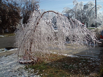 is, storm, træ, vinter, sne, plante, dag, ingen mennesker, natur, vand, kold temperatur, arkitektur, Mark, jord, bygget struktur, udendørs, græs, ro, bygning udvendig, Frosset, 2K, CC0, offentligt domæne, royaltyfrie