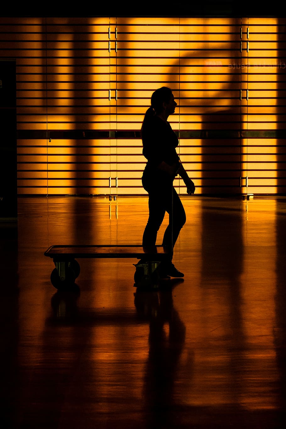 donna che usa il carretto, sagoma di persona, luce del sole, camera, studio, arancia, silhouette, persone reali, lunghezza intera, movimento, stili di vita, una persona, movimento sfocato, in casa, vista laterale, attività di svago, uomini, a piedi, riflessione, ombra, donne, pavimentazione, tramonto, in movimento, architettura, 4K
