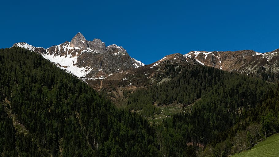 montagna, montagne, cielo, alpino, foresta, paesaggio, tirolo, Alto Adige, natura, Tristan indicò, albero, pianta, scenics - natura, bellezza nella natura, albero di conifere, bosco di pini, ambiente, terra, catena montuosa, Pino, cielo sereno, Pinaceae, nessuno, picco di montagna, blu, montagna innevata, all'aperto, bosco, 5K