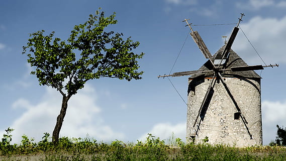 windmill, mill, old windmill, monument, throughout the windmill, bakony mountain windmill, gabonaőrlő, old, history, cultures, nature, architecture, fuel and power generation, wind turbine, environmental conservation, wind power, turbine, renewable energy, alternative energy, environment, sky, plant, tree, traditional windmill, landscape, rural scene, cloud - sky, day, no people, outdoors, 4K, CC0, public domain, royalty free