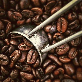restaurant, beans, caffeine, coffee, fresh, kitchen, morning, food and drink, close-up, no people, full frame, still life, food, indoors, metal, abundance, selective focus, kitchen utensil, backgrounds, roasted coffee bean, large group of objects, brown, freshness, coffee - drink, roasted, eating utensil, 720P, CC0, public domain, royalty free