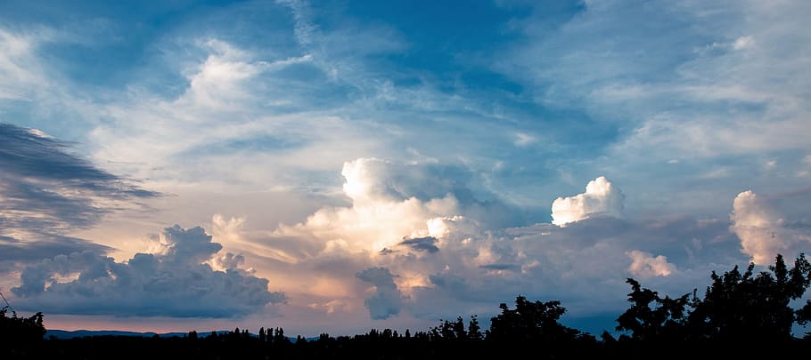 silhuet, træer, blå, overskyet, himmel, solnedgang, Sky, himlen, sky - himmel, natur, ingen mennesker, træ, skønhed i naturen, udendørs, ro, scenics, dag, miljø, scenics - natur, cloudscape, landskab, rolig scene, plante, sollys, dramatisk himmel, 5K
