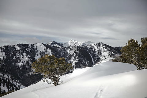 grøn, bladede, træer, isbjerget, bjerg, highland, Sky, himmel, topmøde, kam, landskab, natur, dal, bakke, sne, vinter, udsigt, rejse, europæiske alper, udendørs, bjergtop, scenics, kold temperatur, sky - himmel, træ, scenics - natur, skønhed i naturen, plante, miljø, rolig scene, jord, ingen mennesker, Skov, ro, hvid farve, nåletræ, snedækket bjerg, fyrretræ, eviggrønne træ, sner, 8K, CC0, offentligt domæne, royaltyfrie
