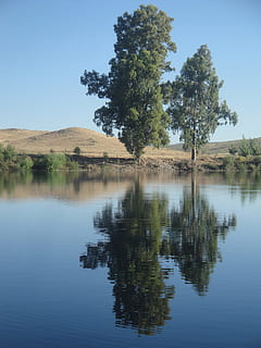 riu, Riba, arbres, reflexió, naturalesa, pastures, eucaliptus, aigua, turons, simetria, pacífica, calor, zújar, campanar, blau, cel, juny, arbre, llac, a l'aire lliure, tranquil·litat, planta, escena tranquil·la, bellesa a la natura, escenics - natura, davant del mar, escena no urbana, cap gent, cel clar, idíl·lic, dia, creixement, 2K, CC0, domini públic, lliure de regalies
