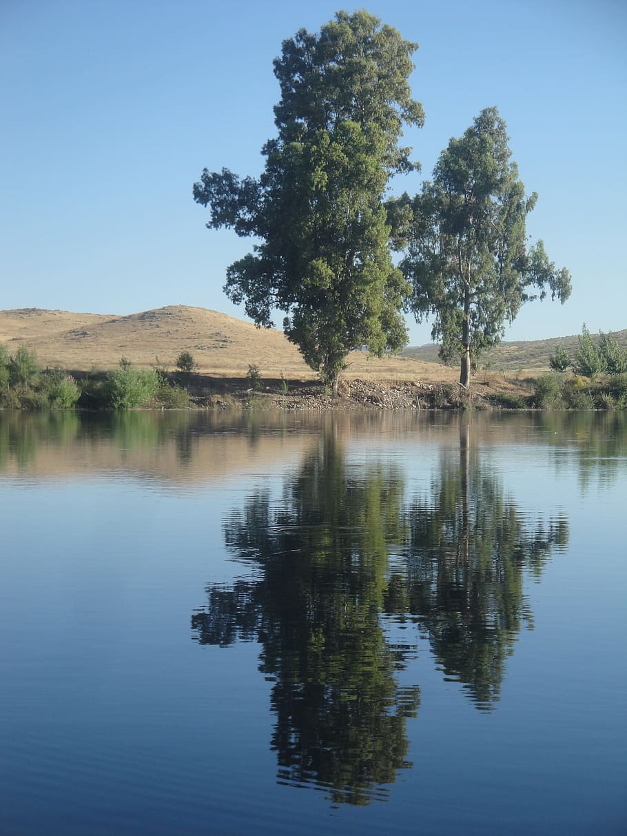 riu, Riba, arbres, reflexió, naturalesa, pastures, eucaliptus, aigua, turons, simetria, pacífica, calor, zújar, campanar, blau, cel, juny, arbre, llac, a l'aire lliure, tranquil·litat, planta, escena tranquil·la, bellesa a la natura, escenics - natura, davant del mar, escena no urbana, cap gent, cel clar, idíl·lic, dia, creixement, 2K