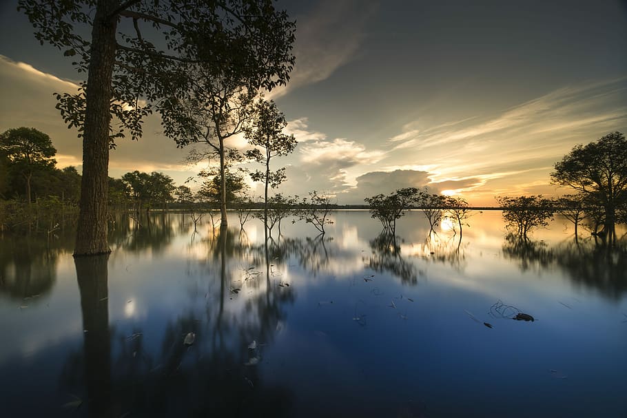 træer, vand, reflekterende, grå, himmel, solnedgang, udendørs, træ, baggrund, pæn, naturlig, grøn, skønhed, fuld farve, plante, rejse, forår, sæson, landskab, hals, enkelt, solen, afspejle, imponerende, Parken, tropisk, Skov, scene, efterår, naturskøn, bølge, morgenen, alene, solopgang, trist, afspejling, sø, skønhed i naturen, ro, scenics - natur, rolig scene, natur, ingen mennesker, idyllisk, havnefronten, sky - himmel, ikke-urbane scene, stående vand, refleksions søen, 8K