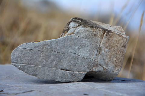 Kennedy, pedra, macro, textura, les pedres són, rocós, fons, composició, detall, patró, increïble, blanc, naturalesa, viatjar, endavant, fotografia, escultura, sabates de pedra, l'interessant, vell, estètica, disseny, decoració, primer pla, natural, cap gent, dia, centrar-se en primer pla, a l'aire lliure, enfocament selectiu, natura morta, material de fusta, fusta, sòlid, sec, art i artesania, esquerdat, planta, arbre, registre, 5K, CC0, domini públic, lliure de regalies