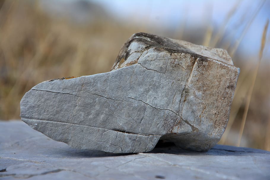 Kennedy, pedra, macro, textura, les pedres són, rocós, fons, composició, detall, patró, increïble, blanc, naturalesa, viatjar, endavant, fotografia, escultura, sabates de pedra, l'interessant, vell, estètica, disseny, decoració, primer pla, natural, cap gent, dia, centrar-se en primer pla, a l'aire lliure, enfocament selectiu, natura morta, material de fusta, fusta, sòlid, sec, art i artesania, esquerdat, planta, arbre, registre, 5K
