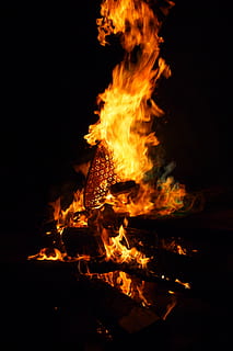 Feuer, Lagerfeuer, heiß, Hitze, lodern, warm, Kabine, lodernd, Lager, rot, entzünden, Flamme, Verbrennung, Feuer - natürliches Phänomen, Hitze - Temperatur, Log, Brennholz, Holz, Bewegung, Natur, Holz - Material, Nacht-, keine Leute, orange Farbe, Camping, draußen, glühend, Inferno, Nahansicht, schwarzer Hintergrund, 4K, CC0, gemeinfrei, lizenzfrei