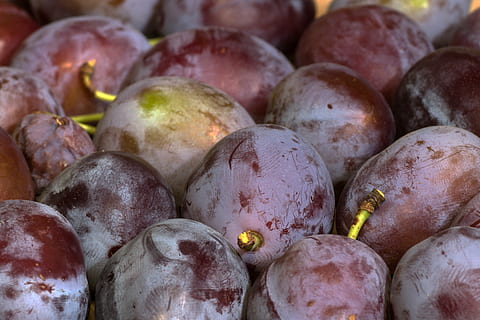 fruit, pruimen, eten en drinken, voedsel, gezond eten, welzijn, versheid, geen mensen, grote groep objecten, stilleven, detailopname, markt, volledig kader, overvloed, groente, kleinhandel, achtergronden, biologisch, dag, rauw eten, rijp, kleinhandelsvertoning, Purper, vegetarisch eten, 4K, CC0, publiek domein, royaltyvrij