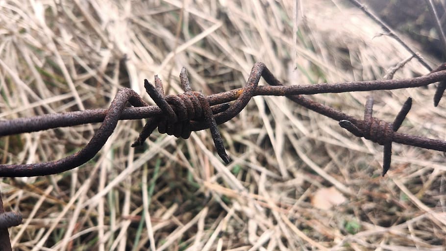 Stacheldraht, Makro, Draht, Fechten, Rost, Korrosion, Metall, verdorrtes Gras, Nahansicht, keine Leute, Fokus auf den Vordergrund, Tag, rostig, Natur, Pflanze, Feld, selektiver Fokus, Land, Sicherheit, draußen, verdrehte, Schutz, Wachstum, trocken, Komplexität, verheddert, 4K