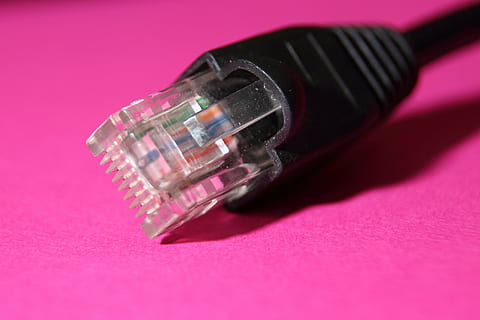 ordenador personal, enchufe, conexión, periférico, red, hardware, edp, cable de conexión, computadora, accesorios de computador, cable de datos, tecnología, macro, de cerca, cables de red, equipo, fondo de color, enchufe de conexión de red, foto de estudio, Red de computadoras, Internet, cable, comunicación, color rosa, cable de computadora, tecnología inalámbrica, nadie, solo objeto, adentro, cable USB, sombra, dos objetos, fuente de alimentación, 4K, CC0, dominio público, libre de derechos