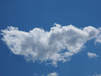 Himmel, Wolke, Blau, Wolken bilden sich, Weiß, Kumuluswolken, Vögel, Vogelflug, wolke - himmel, Natur, Wolkengebilde, weiße Farbe, Schönheit in der Natur, keine Leute, Flachwinkelansicht, Tag, idyllisch, Atmosphäre, Szenen - Natur, flauschige, Wind, Hintergründe, Ruhe, draußen, Meteorologie, hell, 4K, CC0, gemeinfrei, lizenzfrei