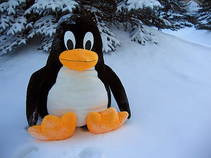 linux, pingüí, neu, joguina, ocell, linux, pingüí, divertit, fantasia, greix, diversió, bonic, fred, hivern, naturalesa, fred - temperatura, a l'aire lliure, temporada, gel, temperatura de fred, menjar i beguda, fruita, cap gent, representació, color taronja, menjar, cara, representació humana, cara antropomòrfica, antropomòrfic, ninot de neu, Halloween, alimentació saludable, dia, terra, art i artesania, taronja, bufanda, 2K, CC0, domini públic, lliure de regalies