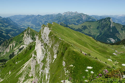 bjerge, dækket, grøn, planter, antenne, fotografering, dagtimerne, bjerg, alpine, rækkevidde, pathway, landskabet, kam, vandrer, gåstol, landskab, vistum, skønhed, bakke, natur, bjergkæde, scenics - natur, skønhed i naturen, miljø, himmel, plante, grøn farve, jord, rolig scene, græs, ro, ikke-urbane scene, dal, ingen mennesker, dag, idyllisk, rejsemål, udendørs, fyrretræ, nåletræ, 4K, CC0, offentligt domæne, royaltyfrie