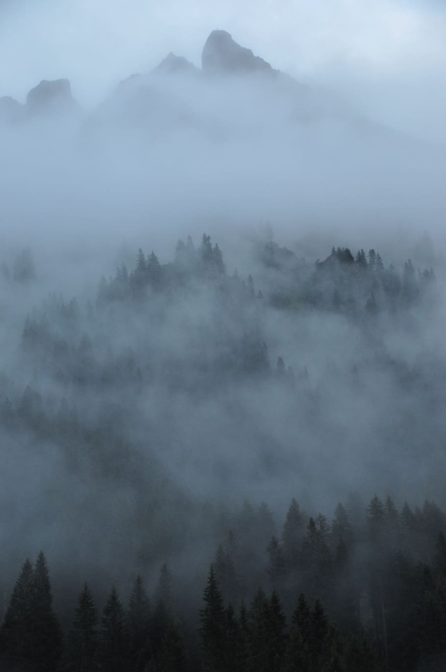 boira, núvols, muntanyes, bosc, naturalesa, paisatge, místic, misteriós, atmosfèric, alpí, Austràlia, vorarlberg, montafon, fins i tot, bellesa a la natura, arbre, muntanya, escenics - natura, escena tranquil·la, tranquil·litat, cap gent, planta, medi ambient, cel, escena no urbana, núvol - cel, terra, dia, vista d’angle alt, nebulós, cim de muntanya, 4K