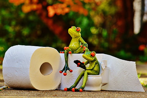 to, træ frosk figurer, ved siden af, hvid, toiletpapir, frø, loo, session, sjov, Toilet, nuttet, mobiltelefon, grøn, dyr, repræsentation, legetøj, kreativitet, Kunst og håndværk, menneskelig repræsentation, figur, fokus på forgrunden, ingen mennesker, mandlig lighed, tæt på, håndværk, stilleben, dag, kvindelig lighed, papir, skulptur, 4K, CC0, offentligt domæne, royaltyfrie