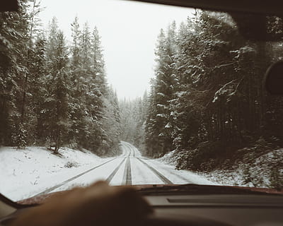 strada, coperto, la neve, circondato, alberi, persona, equitazione, auto, giorno, sentiero, inverno, pianta, natura, foresta, viaggio, mezzi di trasporto, temperatura fredda, parabrezza, albero, autostrada, guida, interno del veicolo, trasparente, modo di trasporto, la strada davanti, vetro - materiale, prospettiva decrescente, direzione, nessuno, punto di fuga, traccia, punto di vista dell'auto, all'aperto, 4K