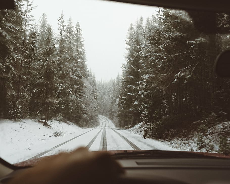 carretera, cobert, neu, envoltat, arbres, persona, muntar a cavall, cotxe, durant el dia, Camí, hivern, planta, naturalesa, bosc, viatjar, transport, temperatura de fred, parabrisa, arbre, conduir, interior del vehicle, transparent, manera de transport, el camí a seguir, vidre - material, perspectiva decreixent, direcció, cap gent, punt de fuga, pista, punt de vista del cotxe, a l'aire lliure, 4K