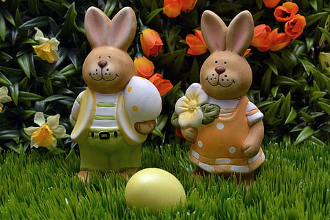 Hase, Ostern, Ei, Gelb, Blumen, Frühling, Gras, Osterdekoration, Dekoration, Frohe Ostern, Ostergrüße, Osterfeier, Kaninchen - Tier, Osterhase, Eier, Osterei, Urlaub, Feier, Jahreszeit, tierisches Ei, Darstellung, Kunst und Handwerk, Kreativität, menschliche Darstellung, keine Leute, grüne Farbe, Pflanze, Ferienveranstaltung, Nahansicht, Natur, draußen, 4K