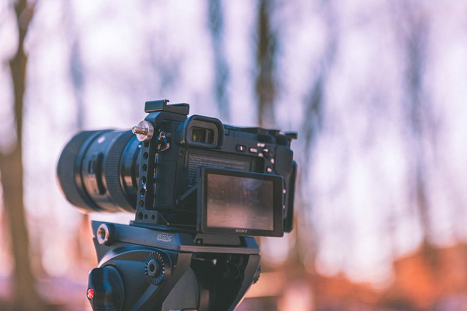 selektiv, fokus fotografie, schwarz, DSLR-Kamera, flach, Kamera, Bildschirm, Stativ, Baum, Wald, Kamera - Fotoausrüstung, Fotografie-Themen, Technologie, Fotoausrüstung, Objektiv - optisches Instrument, Fokus auf den Vordergrund, Fotografieren, Filmindustrie, Nahansicht, keine Leute, Retro-Stil, Aktivität, Kunst, Kultur und Unterhaltung, beruflicher Beruf, Digitalkamera, Filmkamera, Antiquität, Linse - Auge, Dreharbeiten, Spiegelreflexkamera, Kameramann, Video, Heimvideokamera, 5K