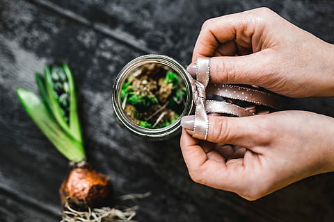 making, little, ornamental, seedling, small, jar, Woman, plant, decoration, ornament, planting, crafting, adornment, human Hand, food, herb, nature, leaf, holding, green Color, organic, freshness, vegetable, people, human body part, one woman only, adult, only women, hand, one person, food and drink, human finger, preparation, finger, spice, body part, close-up, unrecognizable person, focus on foreground, outdoors, 4K