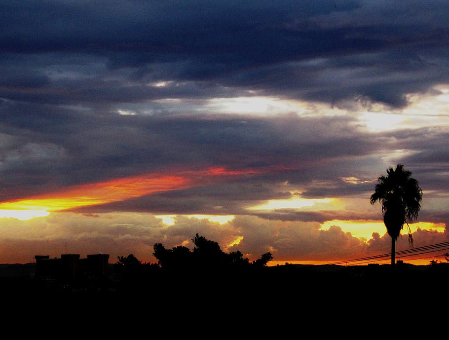 posta de sol, núvols, variar els colors, formes, horitzontal, paynes-greys foscos, blancs, grocs, taronges, or, ratlles, destacats, Palmera, cel, naturalesa, vespre, escenics, núvol - cel, silueta, bellesa a la natura, escenics - natura, arbre, planta, color taronja, escena tranquil·la, tranquil·litat, cap gent, cel dramàtic, paisatge, a l'aire lliure, medi ambient, arquitectura, idíl·lic, ominós, 1080P