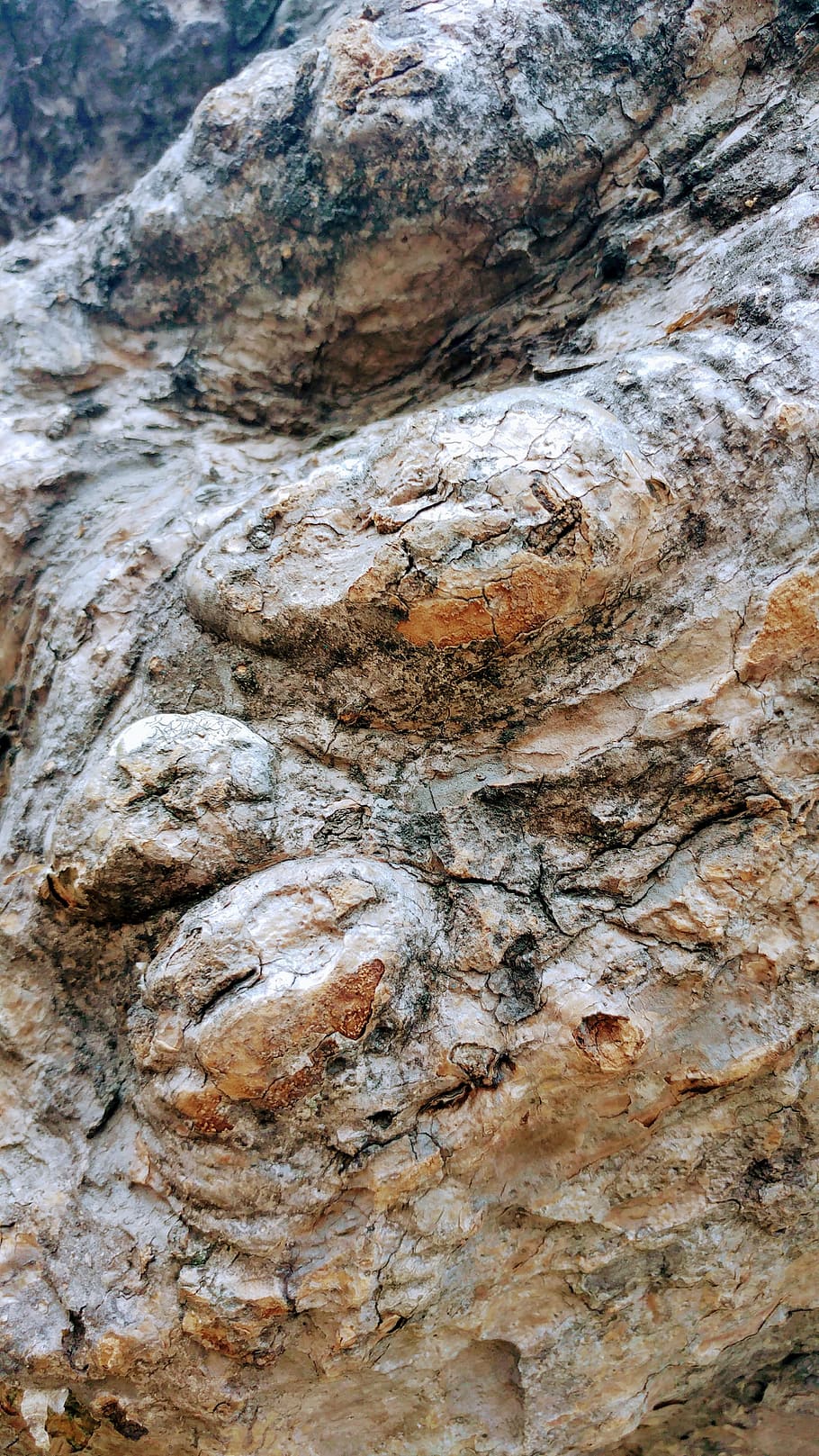 baggrund, tømmer, bark, log, Brun, natur, gammel, mønster, stump, overflade, struktur, træ, bagagerum, træ-, klippe, rock-objekt, tekstureret, ingen mennesker, solid, tæt på, baggrunde, dag, rock formation, naturligt mønster, ru, træstamme, fuld ramme, udendørs, geologi, plante, eroderet, lagdelt, 4K