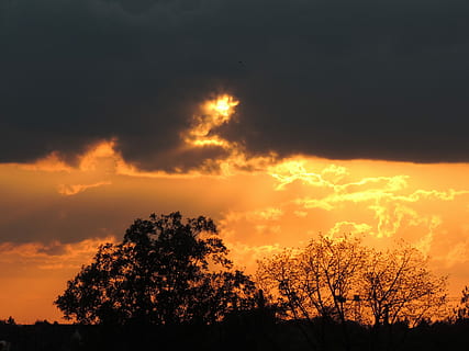 Sonnenuntergang, Abend, dunkle Wolken, Abendrot, Orange, Abendhimmel, Dämmerung, Wolken, Silhouette, Baum, Natur, Himmel, Nacht-, Pflanze, wolke - himmel, Schönheit in der Natur, Szenen - Natur, Ruhe, orange Farbe, ruhige Szene, keine Leute, Flachwinkelansicht, idyllisch, Dramatischer Himmel, draußen, Wachstum, Sonnenlicht, dunkel, Wipfel, 4K, CC0, gemeinfrei, lizenzfrei