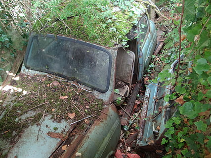 Oldtimer, Garage Fonds, Auto, alt, klassisch, Müll, gebrochen, beschädigt, verlassen, rostig, obsolet, heruntergewirtschaftet, Ablehnen, Pflanze, Verschlechterung, Transportmittel, Metall, Tag, Natur, Pflanzenteil, schlechter Zustand, Blatt, Landfahrzeug, Transport, keine Leute, draußen, ruiniert, zerstört, 4K, CC0, gemeinfrei, lizenzfrei