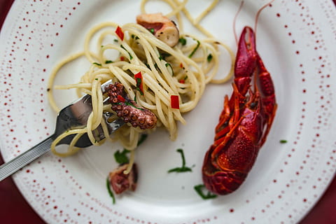 dinner, seafood pasta, crayfish, red, wine, table, decorated, roses, Fancy, seafood, pasta, red wine, elegant, octopus, food, plate, gourmet, freshness, vegetable, food And Drink, healthy Eating, crockery, meal, close-up, cooked, indoors, no people, kitchen utensil, ready-to-eat, eating utensil, wellbeing, italian food, serving size, fork, indulgence, high angle view, spoon, garnish, spaghetti, table knife, 5K, CC0, public domain, royalty free