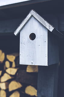 birdhouse, fugl, grå, træ, træ-, fodring, Hjælp, over vinteren, vinter, ingen mennesker, hul, fokus på forgrunden, tæt på, arkitektur, bygget struktur, dag, træ - materiale, udendørs, geometrisk form, natur, form, mønster, metal, sollys, design, sikkerhed, cirkel, 4K, CC0, offentligt domæne, royaltyfrie
