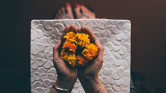 persoon hand, bezit, geel, bloemen, persoon, oranje, goudsbloembloemen, bloem, houden, hand-, ondersteboven, zonlicht, schaduw, kleur, vriend, nagel, fabriek, vrouw, hd wallpaper, pc behang, android, telefoon behang, bruin, Hallo, een persoon, menselijk lichaamsdeel, bloeiende plant, menselijke hand, kwetsbaarheid, binnenshuis, natuur, breekbaarheid, lichaamsdeel, detailopname, volwassen, versheid, schoonheid in de natuur, vooraanzicht, zittend, bloemhoofd, menselijke ledemaat, vinger, bloemstuk, 5K, CC0, publiek domein, royaltyvrij