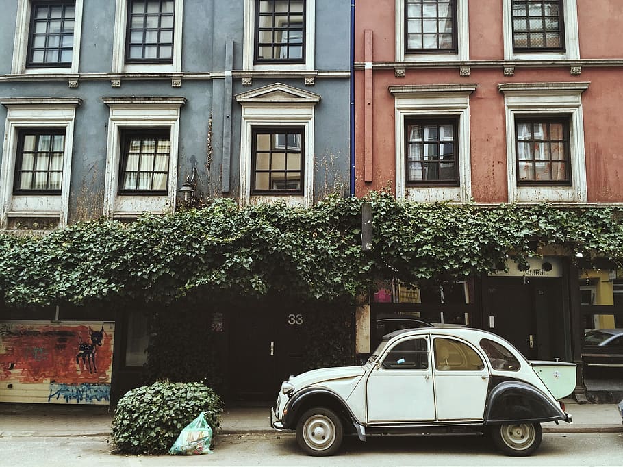 Weiß, Mini Cooper, Vorderseite, Gebäude, Auto, Straße, alt, die Architektur, städtische Szene, altmodisch, Gebäudehülle, Fenster, draußen, Fassade, gebaute Struktur, Tag, Transport, Pflanze, keine Leute, Transportmittel, Stadt, Landfahrzeug, Baum, Kraftfahrzeug, Wohngegend, Natur, Wachstum, Hecke, 2K