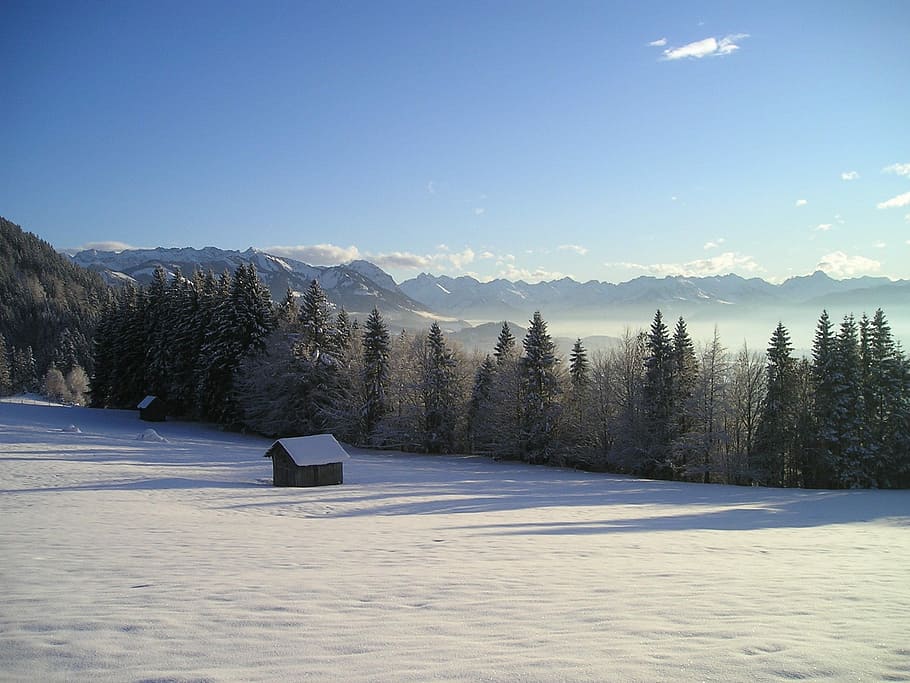 cămin cu capișon, copaci, timpul zilei, iarnă, zăpadă, munți, alpin, Germania, zăpadă, munţi, de iarnă, colibă, pădure, temperatura rece, peisaj, copac, o scenă liniștită, plantă, cer, Munte, scenice - natura, liniște, natură, teren, mediu inconjurator, frumusețe în natură, culoare alba, nici o persoana, îngheţat, scenă non-urbană, Brad, conifer, un munte acoperit de zăpadă, 1080P