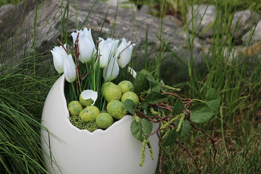 Pasqua, deco, Feliç Pasqua, decoració, primavera, tema de pasqua, deco-ei, closca d'ou, planta, creixement, frescor, color verd, bellesa a la natura, flor, planta amb flors, naturalesa, primer pla, cap gent, part de la planta, full, dia, menjar, alimentació saludable, vulnerabilitat, centrar-se en primer pla, fragilitat, menjar i beguda, Color blanc, a l'aire lliure, cap de flor, 5K