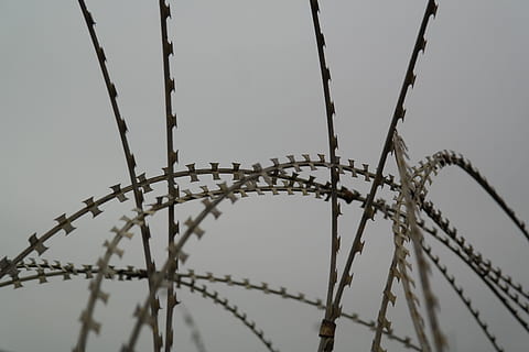 Nato, Barbed Wire, Sharp, nato wire, razor razor sharp, protection, obstacle, metal, s wire, z wiring, razor wire, military range, military zone, steel, zinc plated, zinc plated steel, no people, outdoors, day, sky, low angle view, nature, wire, fence, safety, boundary, barrier, clear sky, security, focus on foreground, amusement park ride, close-up, 5K, CC0, public domain, royalty free
