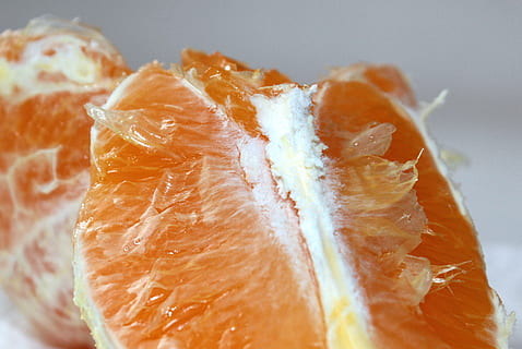 portocala, pulpă, sănătos, delicios, portocale, fruct, vitamine, gustos, suculent, piele alba, dulce, fruct citric, alimente, prospeţime, felie, copt, a închide, mâncat sănătos, organic, culoare portocalie, secțiune transversală, mancare si bautura, lămâie, mancare cruda, natură, nici o persoana, bunăstare, în interior, studio shot, stil de viata sanatos, dimensiune de servire, natură moartă, mandarină, diete, mic dejun, gustare, 2K, CC0, domeniu public, fără drepturi de autor