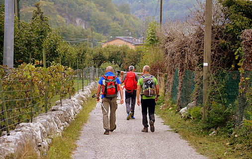 escursione, strada, ulivi, Valle, pista, e5, europeo, Lessinia, montagna, il percorso europeo, Italia, zaino, albero, a piedi, gruppo di persone, lunghezza intera, pianta, persone reali, natura, attività di svago, adulto, sentiero, retrovisore, giorno, uomini, amicizia, attività, donne, persone, avventura, all'aperto, 5K, CC0, dominio pubblico, privo di copyright