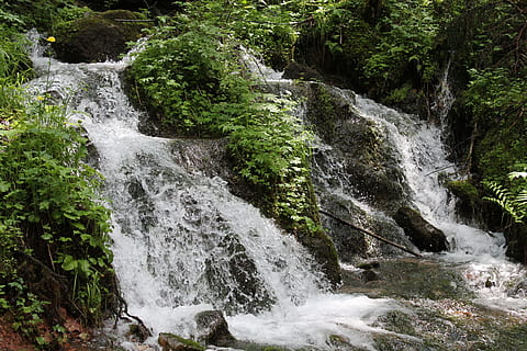 time-lapse fotografering, cascading, falls, vandfald, strøm, natur, vand, skønhed i naturen, bevægelse, scenics - natur, flydende vand, jord, Skov, træ, plante, ingen mennesker, klippe, lang eksponering, solid, rock-objekt, ikke-urbane scene, udendørs, dag, flyder, magt i naturen, 4K, CC0, offentligt domæne, royaltyfrie
