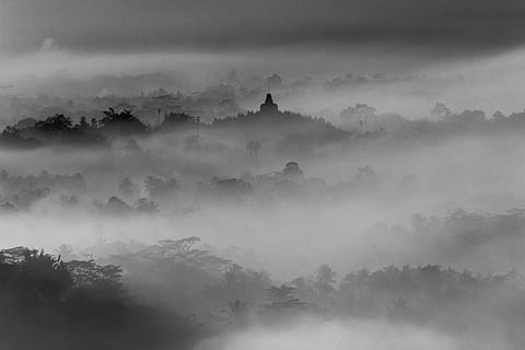 hoch, Bäume, bedeckt, Rauch, schwarz, Berg, tagsüber, borobudur, neblig, Morgen, Nebel, Wald, Baum, wolke - himmel, Sturm, Natur, Schwarz und weiß, Wolkengebilde, Wetter, Gewitter, Himmel, Dramatischer Himmel, dunkel, draußen, keine Leute, Schönheit in der Natur, Szenen - Natur, Ruhe, Pflanze, Umgebung, ruhige Szene, Religion, die Architektur, Land, Landschaft, Silhouette, alte Zivilisation, dunstig, Anbetungsstätte, 5K, CC0, gemeinfrei, lizenzfrei