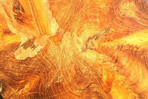 fusta, fons, estructura, textura, patró, marró, resum, esperança, taules, groc, naturalesa, marc complet, cap gent, primer pla, patró natural, color taronja, material de fusta, a l'interior, sòlid, rock, aspre, rock - object, arbre, gres, erosionat, 4K, CC0, domini públic, lliure de regalies
