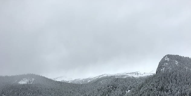 misterele montane, verde, copaci, Munte, timpul zilei, zăpadă, iarnă, copac, ceaţă, aburi, rece, Washington, montură mai ploioasă, scenice - natura, frumusețe în natură, plantă, mediu inconjurator, cer, nor - cer, natură, o scenă liniștită, temperatura rece, nici o persoana, scenă non-urbană, teren, liniște, peisaj, furtună, în aer liber, Brad, conifer, varf de munte, pini de pădure, ploaie, vreme extrema, 4K, CC0, domeniu public, fără drepturi de autor