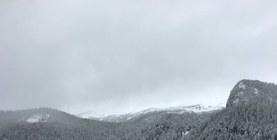 Geheimnisse der Berge, Grün, Bäume, Berg, tagsüber, Schnee, Winter, Baum, Nebel, kalt, Washington, Mount Rainier, Szenen - Natur, Schönheit in der Natur, Pflanze, Umgebung, Himmel, wolke - himmel, Natur, ruhige Szene, kalte Temperatur, keine Leute, Nicht-städtische Szene, Land, Ruhe, Landschaft, Sturm, draußen, Kiefer, Nadelbaum, Gipfel, Kiefernwald, Regen, extremes Wetter, 4K