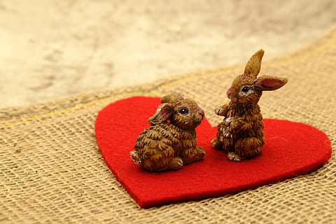 Ostern, Osterhase, Osterfeier, Liebe, Herz, Zuneigung, geben, Geschenk, Hase, osterkarte, Postkarte, Grußkarte, Tier, keine Leute, Tierthemen, Tierdarstellung, Feier, drinnen, Urlaub, Säugetier, Darstellung, Kunst und Handwerk, Haustiere, rot, Nahansicht, Fokus auf den Vordergrund, Spielzeug, Wirbeltier, Lebensmittel, 5K, CC0, gemeinfrei, lizenzfrei
