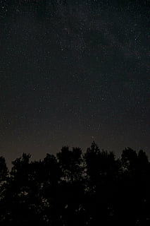 foto de la silueta, arbres, cel, cuc, s, ull, vista, estrellat, nit, fosc, ombra, galàxia, espai, estrelles, bosc, boscos, campament, foguera, unió, amics, arbre, estrella - espai, naturalesa, astronomia, cap gent, bellesa a la natura, silueta, a l'aire lliure, planta, tranquil·litat, escenics - natura, vista d’angle baix, escena tranquil·la, creixement, estrella, idíl·lic, camp estel·lar, espai i astronomia, 5K, CC0, domini públic, lliure de regalies