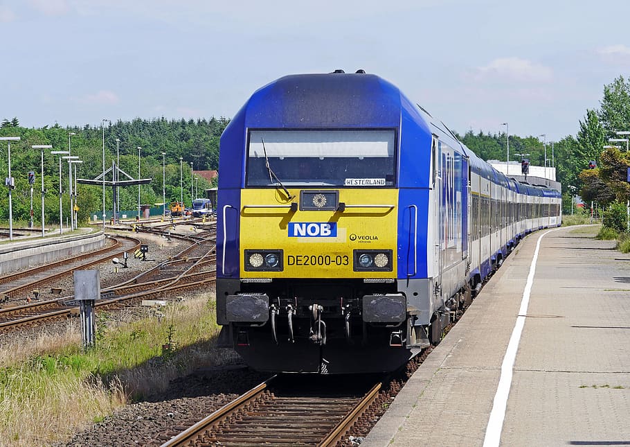 estació de tren, husum, plataforma, passarel·la, estació de tren husum, regional-express, Hamburg-West West, sylt, nob, nord-ostsee-bahn, ferrocarril privat, la terra de Schleswig-Holstein, tren regional, transport, ferrocarril, trànsit ferroviari, passatgers, öpnv, locomotora dièsel, siemens de2000, estació central, estació d’encreuament, bahnbetriebswerk, vies del ferrocarril, tren - vehicle, transport per ferrocarril, transport públic, dia, pista, tren, manera de transport, cel, naturalesa, vehicle terrestre, cap gent, tren de passatgers, plataforma d’estació de ferrocarril, viatjar, estació de ferrocarril, a l'aire lliure, núvol - cel, locomotora, cotxe de ferrocarril, 4K