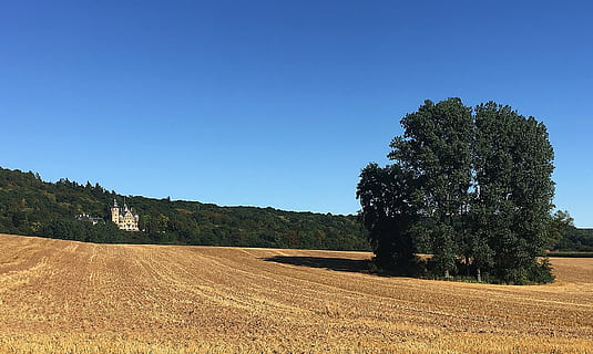paesaggio, estate, arabile, nuvole, imponente, palazzo, romantico, castello, albero, cielo, pianta, ambiente, natura, terra, blu, bellezza nella natura, la tranquillità, scena tranquilla, nessuno, scenics - natura, campo, cielo sereno, scena rurale, crescita, agricoltura, all'aperto, scena non urbana, albero di conifere, Pino, bosco di pini, 1080P, CC0, dominio pubblico, privo di copyright